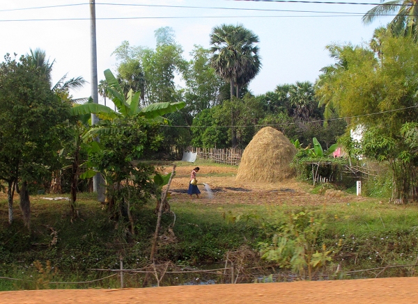 Cambodia Countryside 1